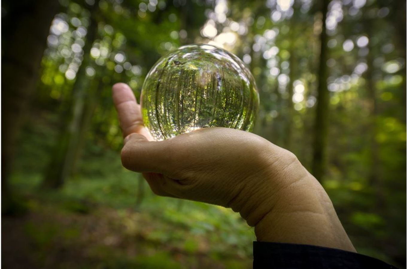 Santé et biodiversité dans les aires protégées. Exemples d’actions dans les Parcs