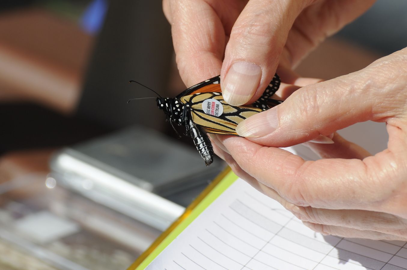 Intérêt des sciences participatives pour initier des changements de pratiques à l'échelle local, exemple de l'OAB