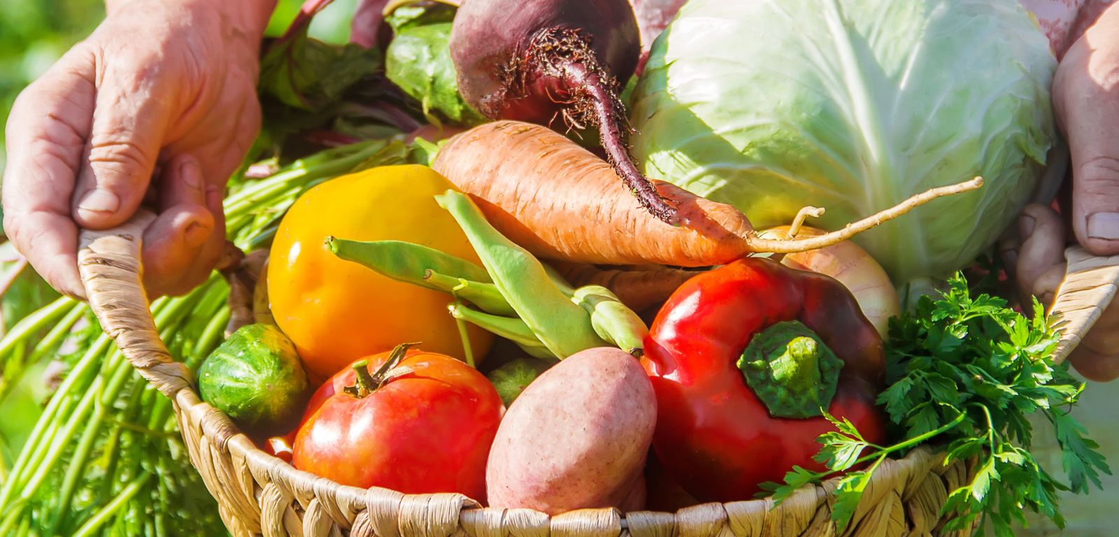 Agriculture et alimentation bio : des filières au service de la biodiversité