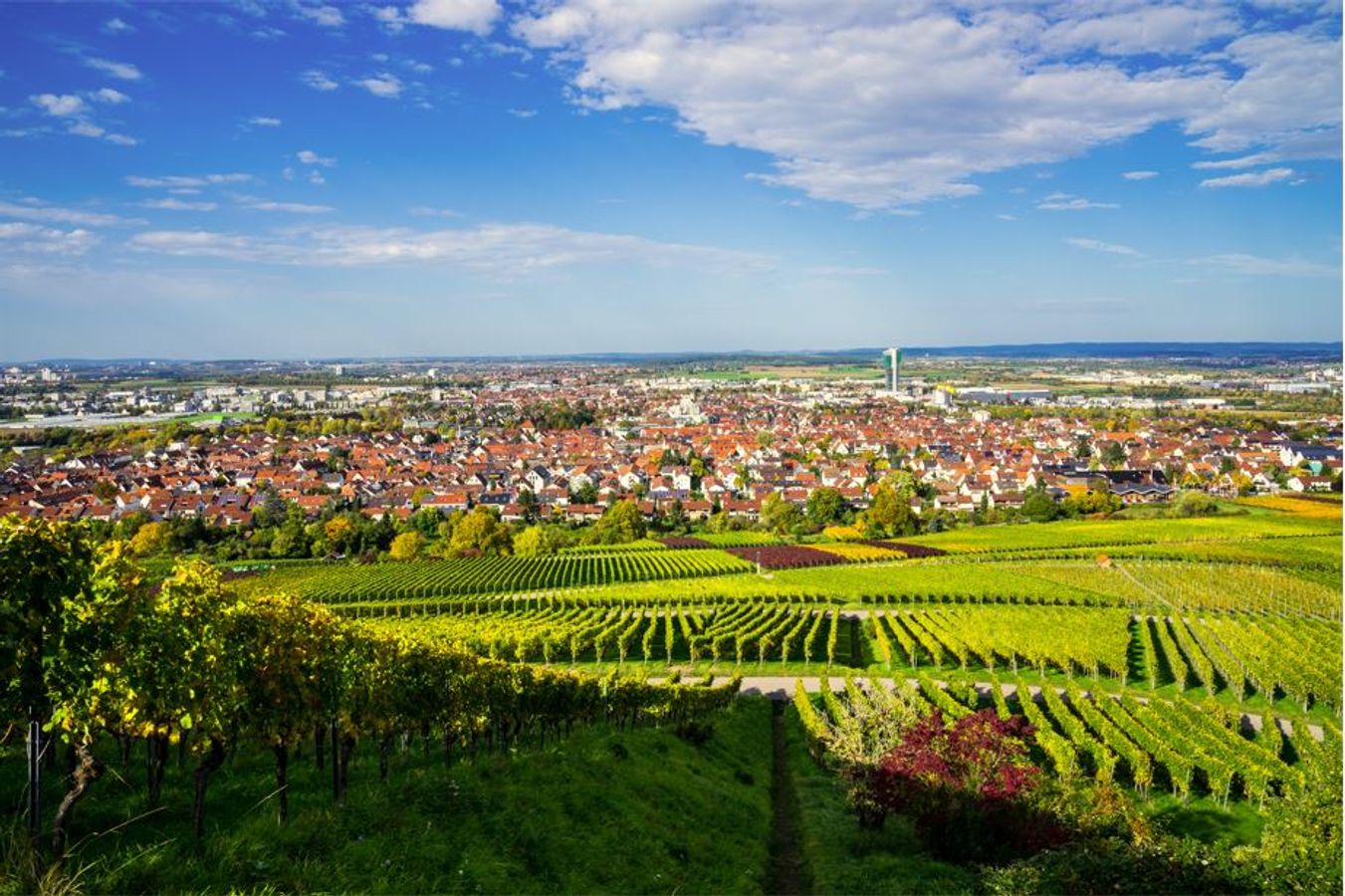 Quelles stratégies foncières à l’échelle des territoires pour préserver la biodiversité, la ressource en eau et les paysages ? 