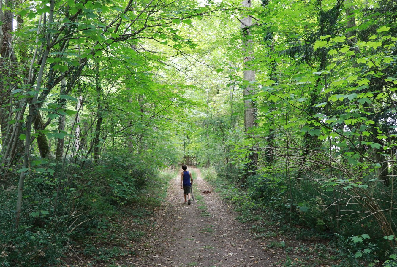 Biodiversité et ONF : au-delà des missions régaliennes (à distance)