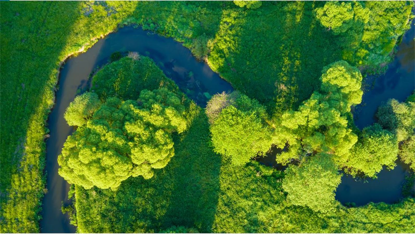 La biofiltration pour le traitement individuel des eaux usées : expertise sur les solutions et les enjeux écoresponsables - F2 - #CGLE 2022