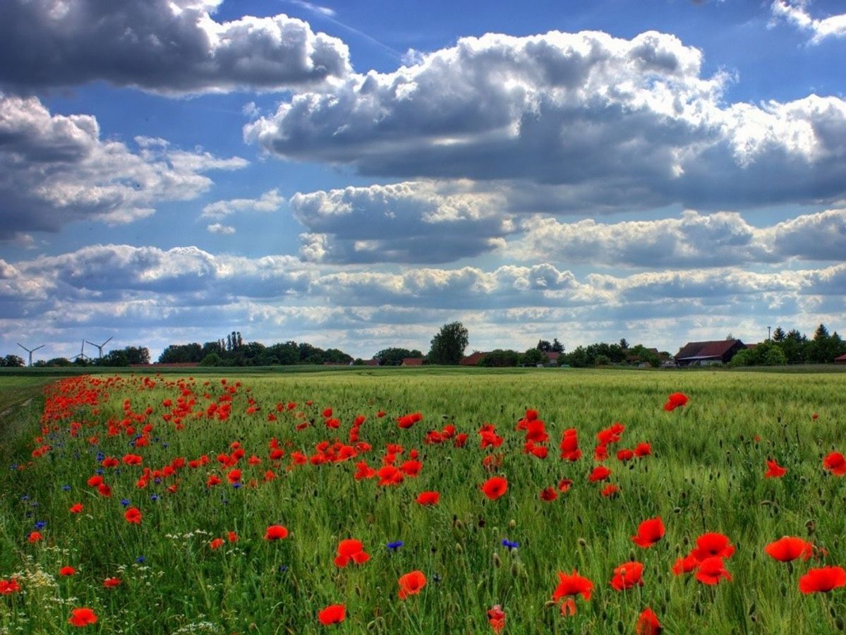 Eau et pesticides : quels enjeux de connaissances pour agir en Bretagne ? - SSDP - #CGLE 2022