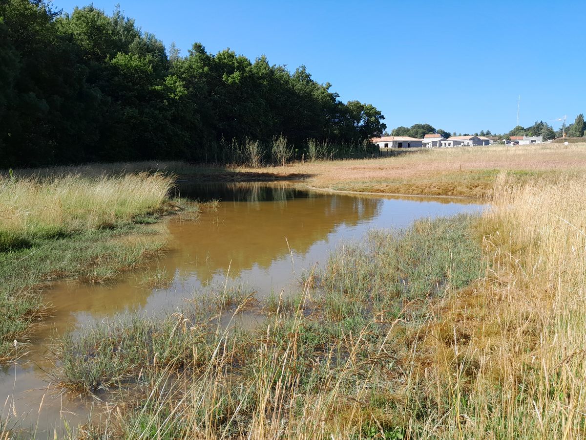 Urbanisme : La Loi « Climat » et son impact sur l’intégration de l’eau et les fonctionnalités des sols dans les projets urbains - F34 - #CGLE 2022