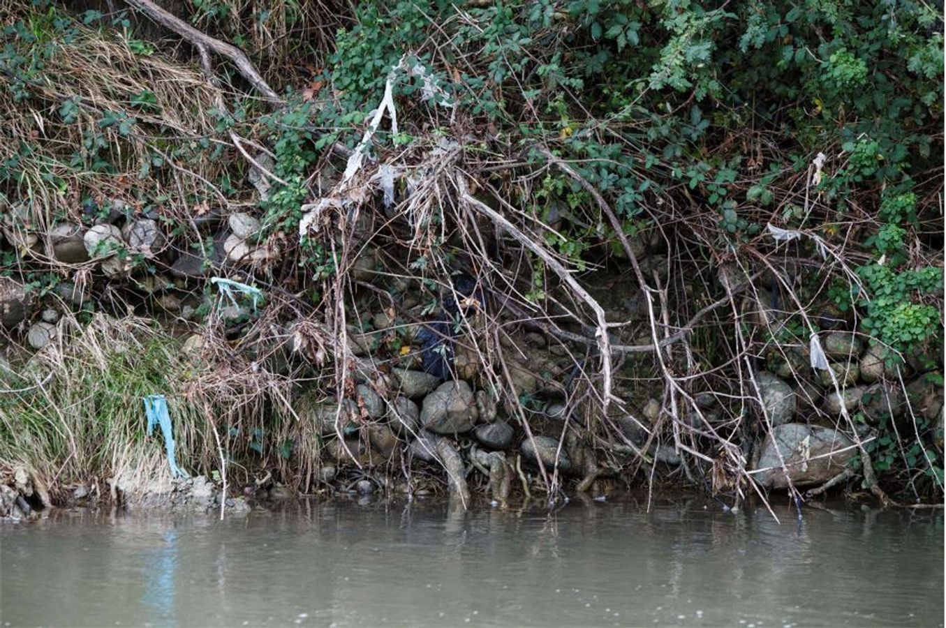 Le devenir des plastiques rejetés dans l’eau - CH11 - #CGLE 2022