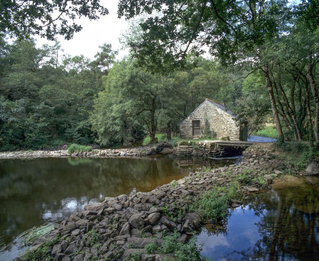 Les milieux aquatiques, un patrimoine naturel et culturel à valoriser, pour de nouveaux projets de territoire - CH6 - #CGLE 2022