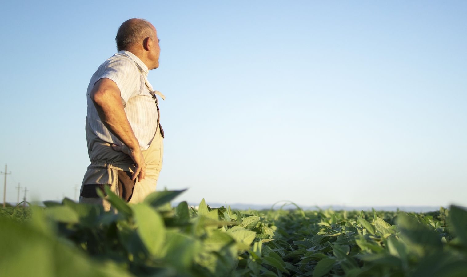 Quelles aides financières des collectivités aux agriculteurs pour encourager la transition agroécologique ?