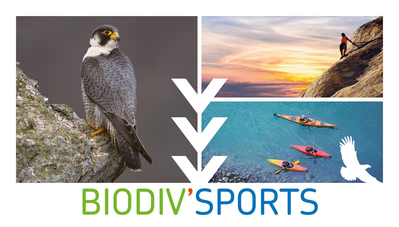 Dispositif Biodiv'Sports : concilier pratiques de sports de nature et préservation de la biodiversité