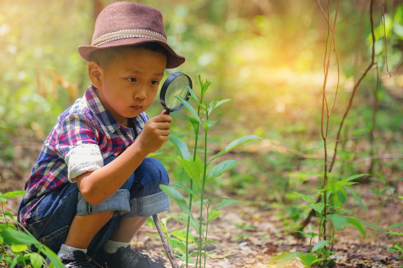 De la nature et du développement durable dans les lieux d’accueil