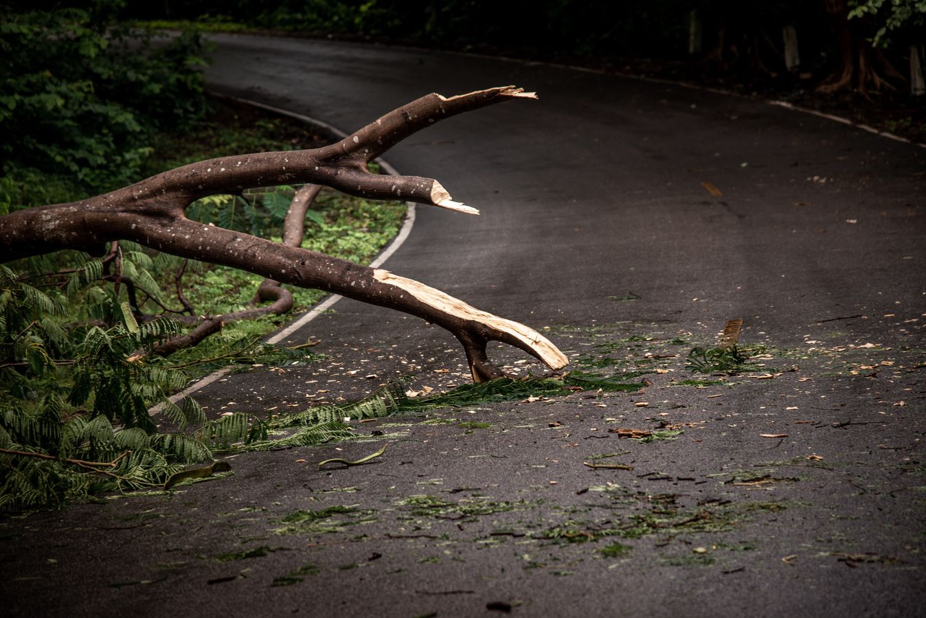 Intégrer la résilience dans la reconstruction des infrastructures contre les risques naturels