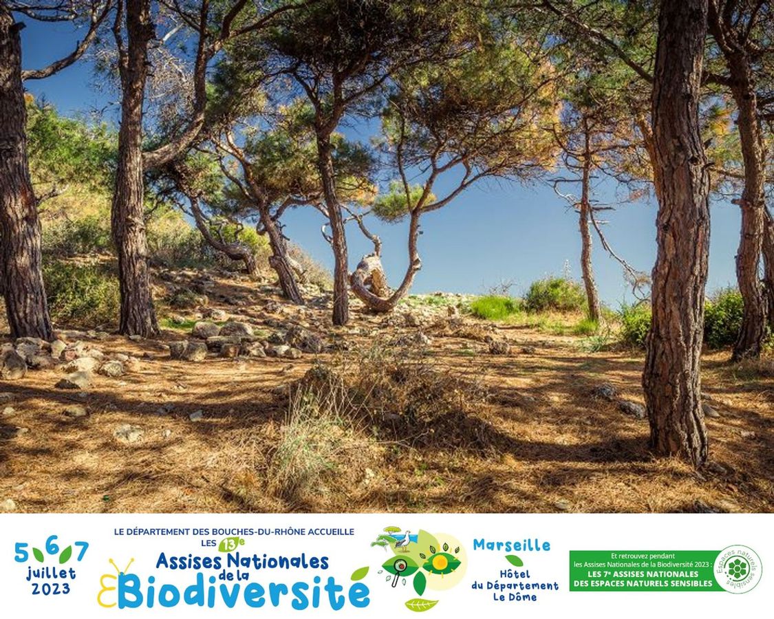 Forêt méditerranéenne: haut lieu de la biodiversité 🌿#ANB2023