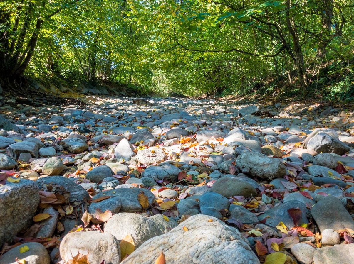 Comment gérer un cours d'eau intermittent ?