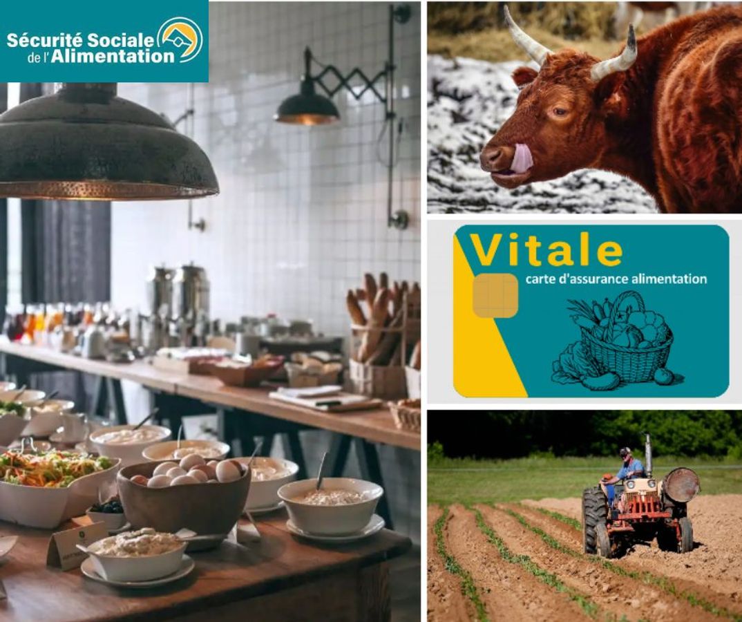 [Cycle SSA] #4 Démocratie alimentaire, expérimentations locales, liens avec les collectivités territoriales