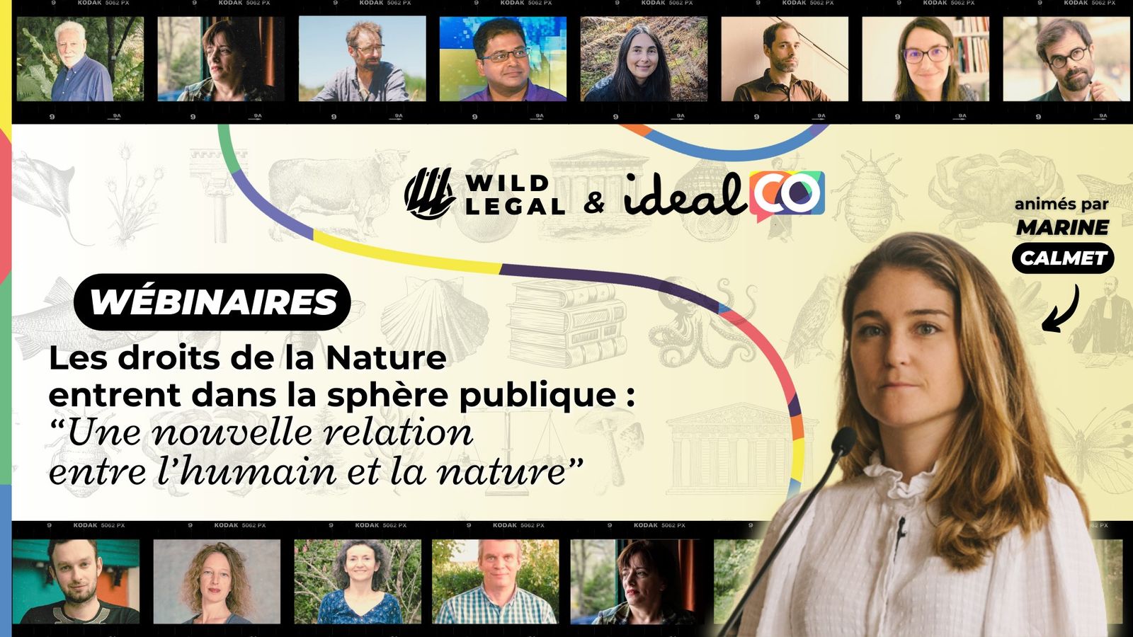 Introduction aux droits de la nature - Besoin d’une transformation éthique, juridique et politique avec le monde actuel