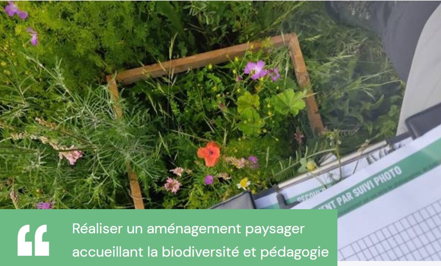 Accueillir la biodiversité dans les établissements scolaires, une perspective écologique et éducative