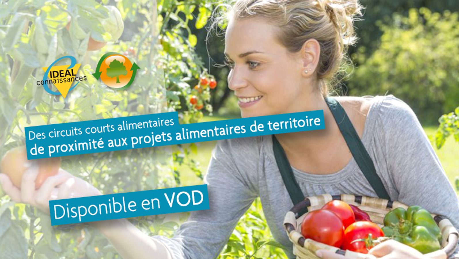 Des circuits courts alimentaires de proximité aux projets alimentaires de territoire