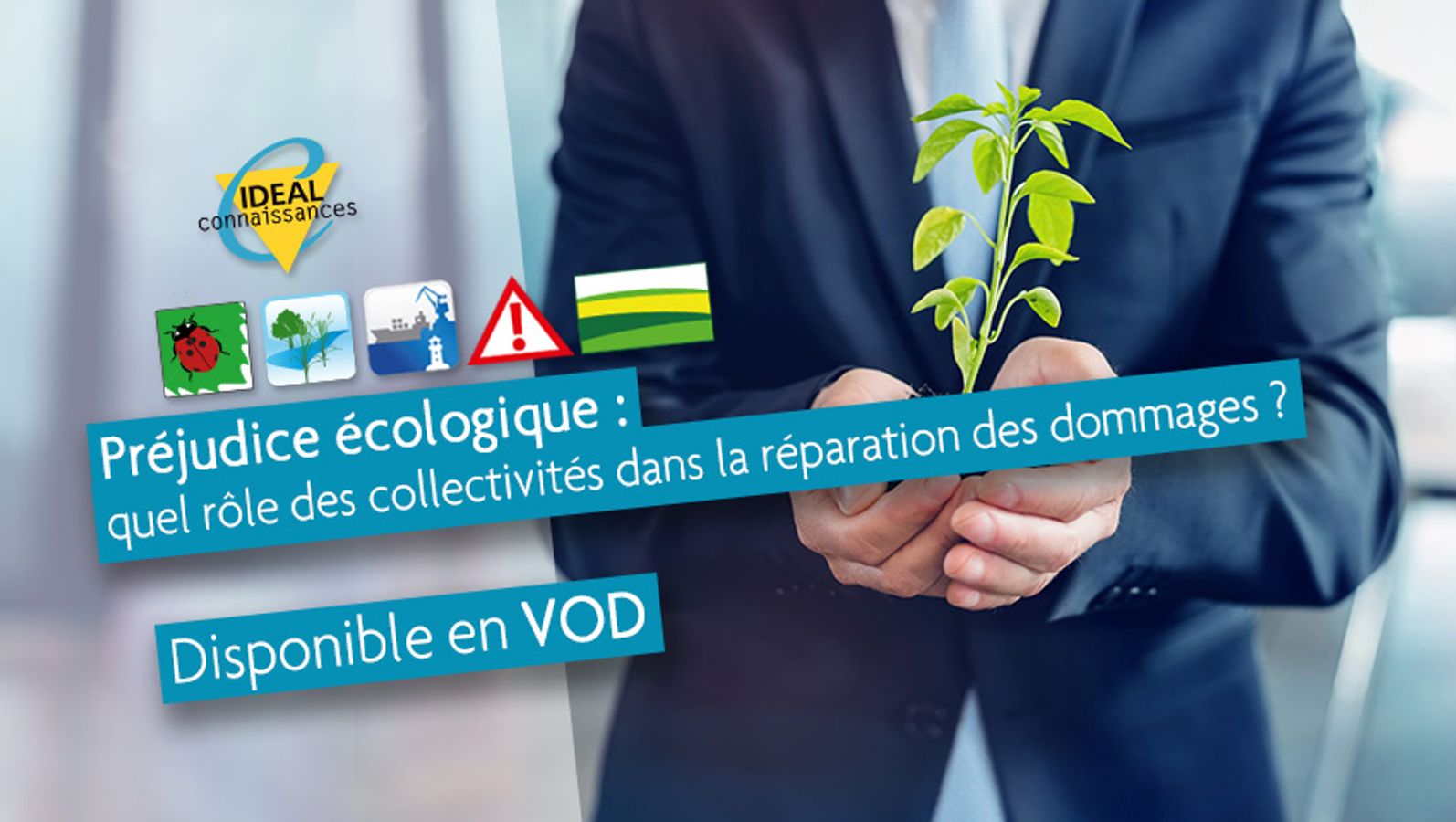 Préjudice écologique : quel rôle des collectivités dans la réparation des dommages ?