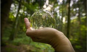 Santé et biodiversité dans les aires protégées. Exemples d’actions dans les Parcs