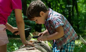 Retours d'expériences des ABC - Apprentissage sur le terrain pour mobiliser les habitants de sa commune