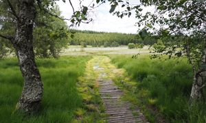 Des paiements pour services environnementaux au service de la qualité de l'eau et de la biodiversité