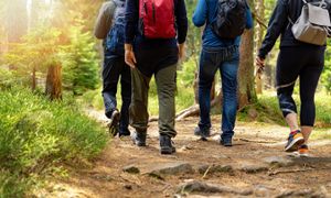 Comment organiser l’accueil du public et limiter les impacts de la sur-fréquentation dans les espaces naturels ?