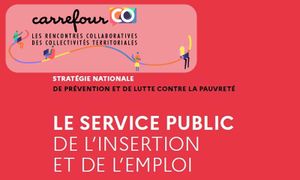 Temps d'échange sur le Service Public d'Insertion et de l'Emploi (SPIE)