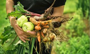 Les Obligations Réelles Environnementales : un outil au service de la bio ? 