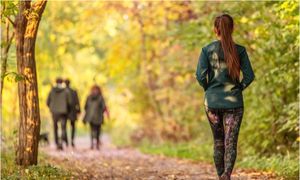 Concilier préservation de la biodiversité et accueil du public : retours d'expériences franciliens du milieu rural au milieu urbain 