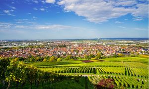 Quelles stratégies foncières à l’échelle des territoires pour préserver la biodiversité, la ressource en eau et les paysages ? 