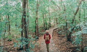 Santé et biodiversité : nécessité d'une approche commune