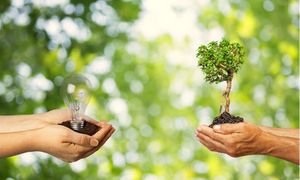 Partage des connaissances Biodiversité en entreprise