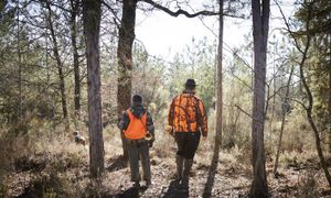 L’expertise des fédérations des chasseurs en matière de trame écologique au service des collectivités