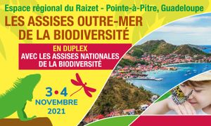 Flore des territoires d'OM : connaissances, menaces, freins et leviers aux actions de conservation