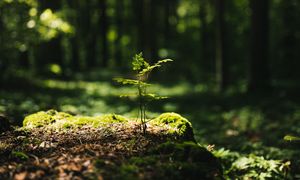 Pitch FNC : Les fédérations des chasseurs, des acteurs engagés à vos côtés pour la sauvegarde de la biodiversité