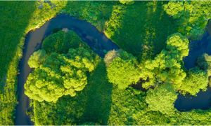 La biofiltration pour le traitement individuel des eaux usées : expertise sur les solutions et les enjeux écoresponsables - F2 - #CGLE 2022