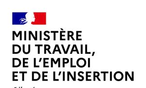 Temps d'échange et tour d'horizon sur les périodes de mise en situation en milieu professionnel (PMSMP) avec la DGEFP