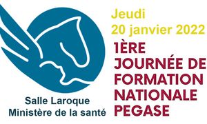 1ère journée de formation nationale programme PEGASE. De l'héritage à l'envol