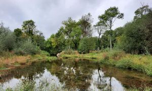 Modélisation et continuité écologique : REX de la capitale française de la biodiversité 2021