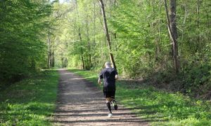 [Reportage] Découvrez l'Espace Naturel Sensible de la Rochette (77)