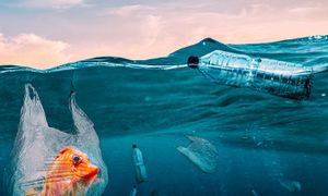 Lutter contre l'apport de déchets dans les cours d'eau avec le projet Plastic Origins de Surfrider Foundation Europe. 