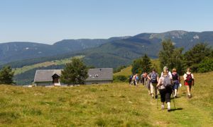 Itinérance : animation d'un réseau de fermes-auberges et développement de l'offre de randonnées. REX sur le Massif des Vosges