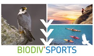 Dispositif Biodiv'Sports : concilier pratiques de sports de nature et préservation de la biodiversité