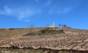 Marathon de la biodiversité : 42km de haies 42 mares. Retour d'expérience de la CC Saône Beaujolais