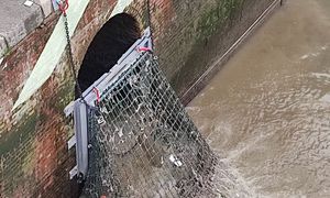 Lutter contre les macro-déchets dans les cours d'eau : quelle place pour les filets de rétention ?