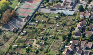 Agriculture urbaine : jardins collectifs, un modèle de développement durable pour les villes