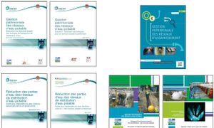 Présentation des guides et travaux en cours sur la gestion patrimoniale - #RDV