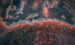 Action et anticipation des feux de forêts et méga feux : RETEX du SDIS de l'Hérault