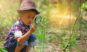 De la nature et du développement durable dans les lieux d’accueil