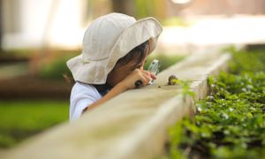 🌳 Végétalisation des cours d'école, retour d'expérience de Besançon