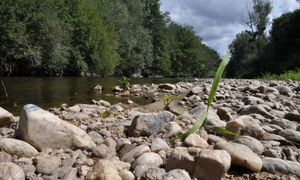 Pour des territoires résilients face au dérèglement climatique, agir dès aujourd’hui - SP - #CGLE 2023